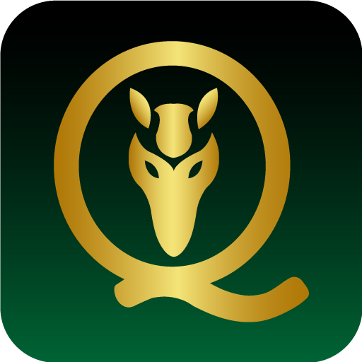 Quirquincho